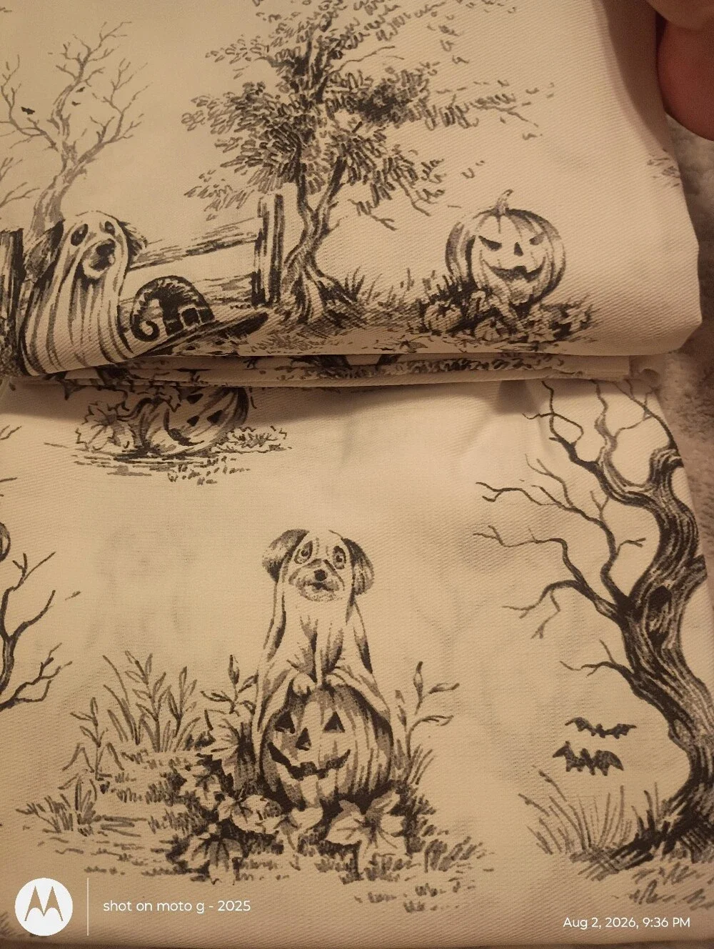 The Farmhouse Rachel Ashwell Ghost Dogs  Halloween Shower Curtain NWT